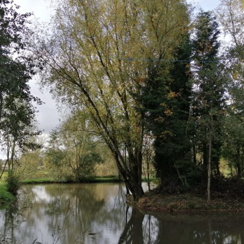Wiggs Farm – “F1 Pond”