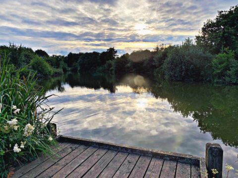 Bagworth Heath – Main Pond