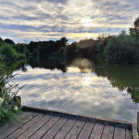 Bagworth Heath – Main Pond