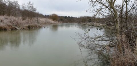 Bagworth Heath – Sandmartin Pool