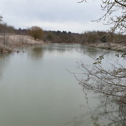 Bagworth Heath – Sandmartin Pool
